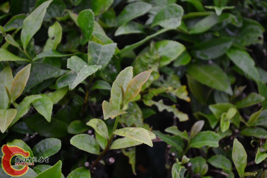 20121005-3789.JPG