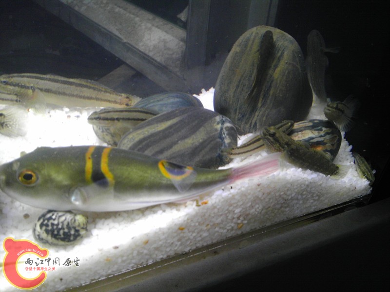 IMAG0687_副本.jpg