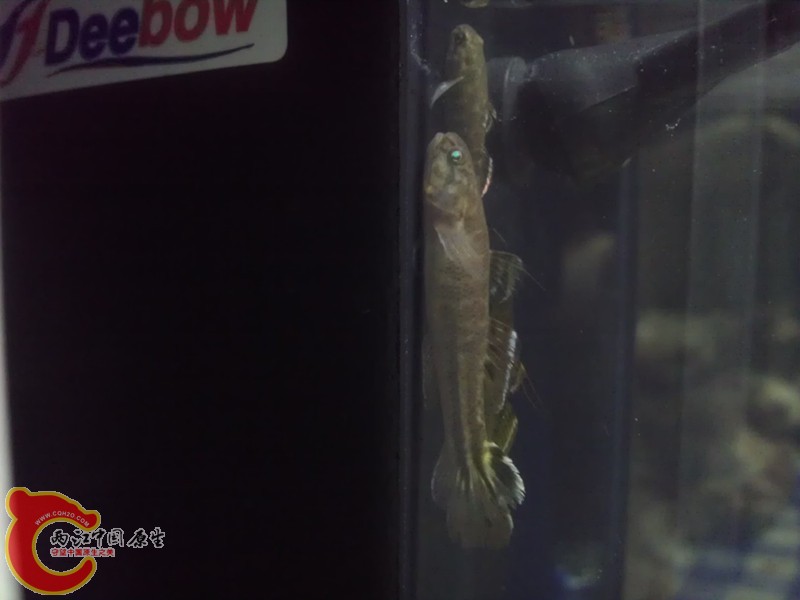 IMAG0694_副本.jpg