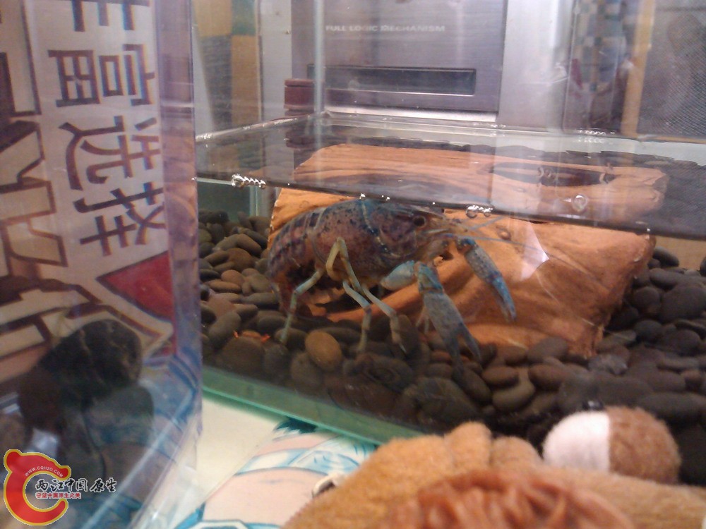 IMG_20121007_101201_0.jpg
