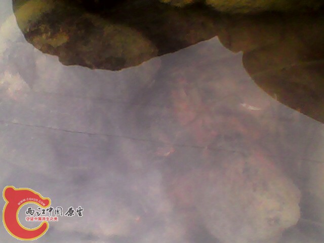 全挤一堆了1