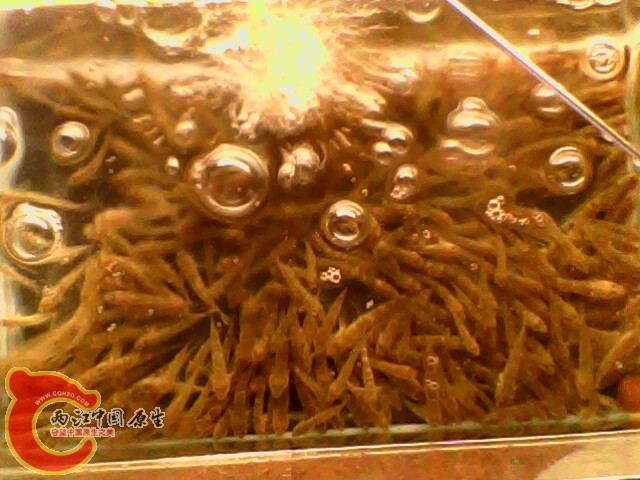 窝点 (1).jpg