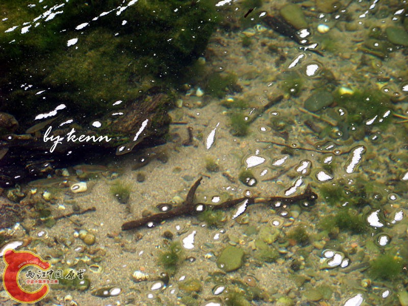 100_7751 copy.jpg