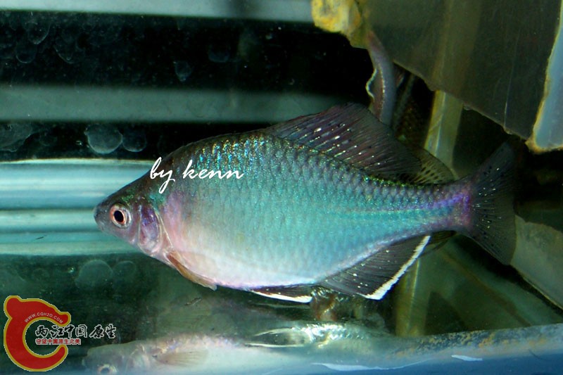 100_7771 copy.jpg