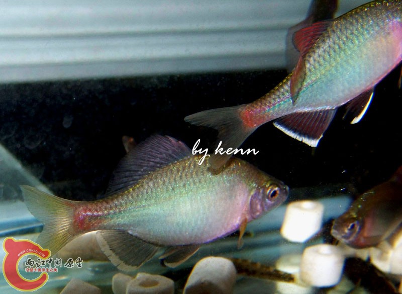 100_7778 copy.jpg