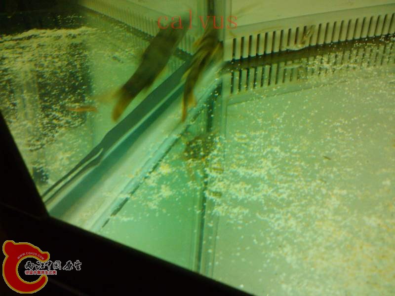 IMG_20121007_184534.jpg