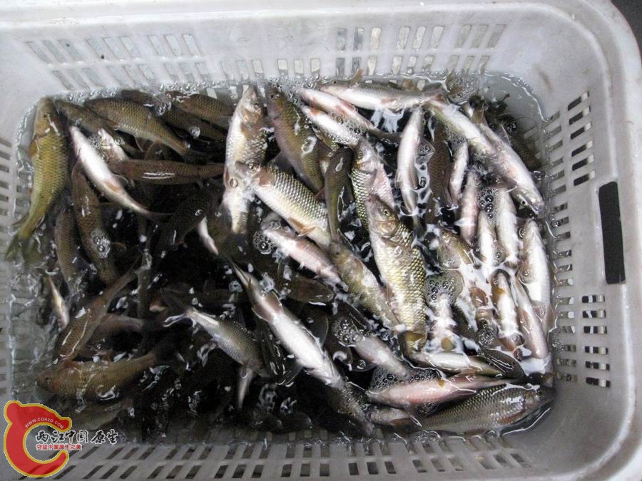 照片 1338.jpg