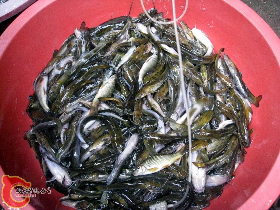 照片 1343.jpg