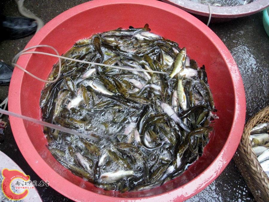 照片 1345.jpg
