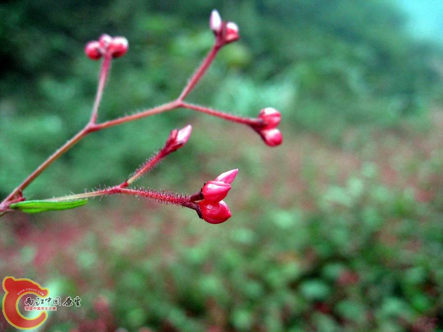 照片 1389.jpg