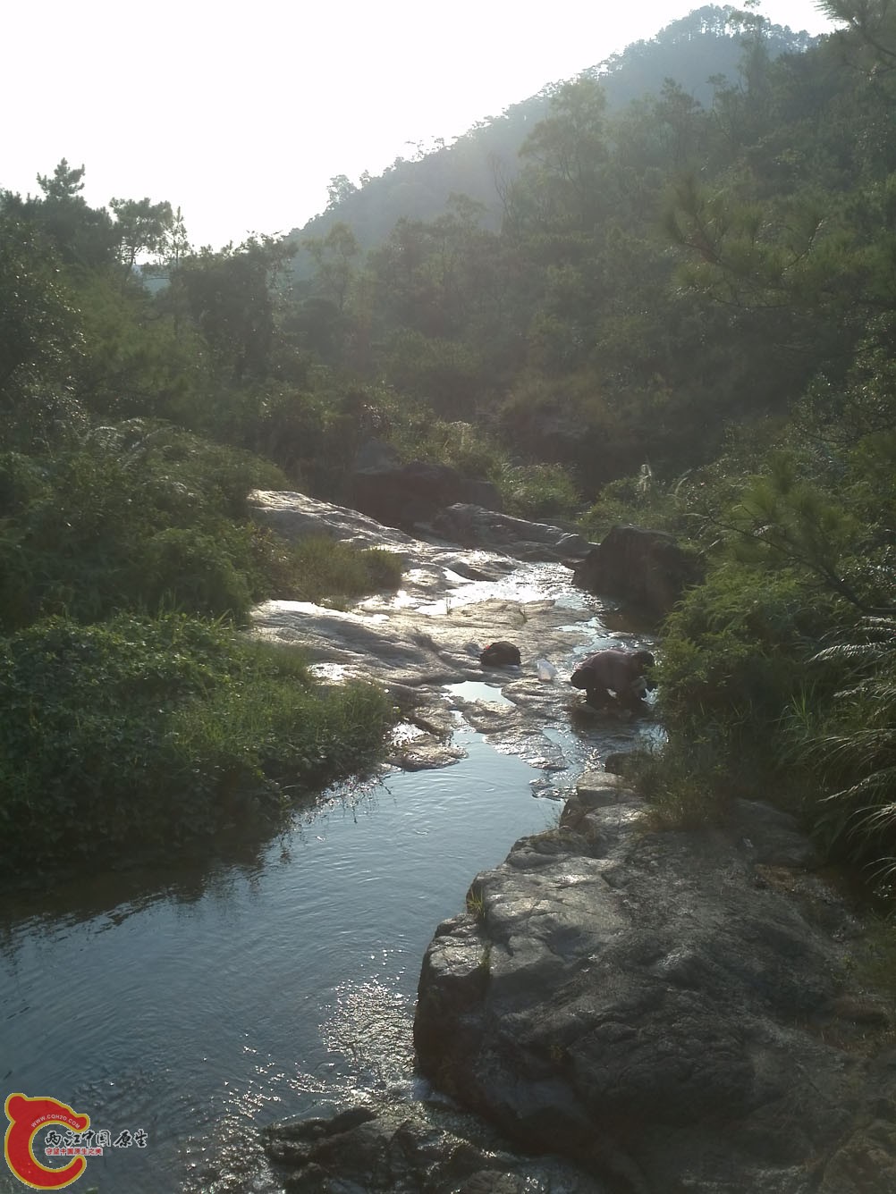 放眼小溪1