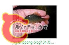 未命名.jpg