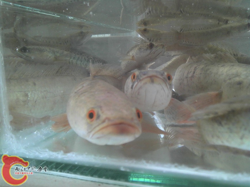2012-10-04_16-19-38_37.jpg