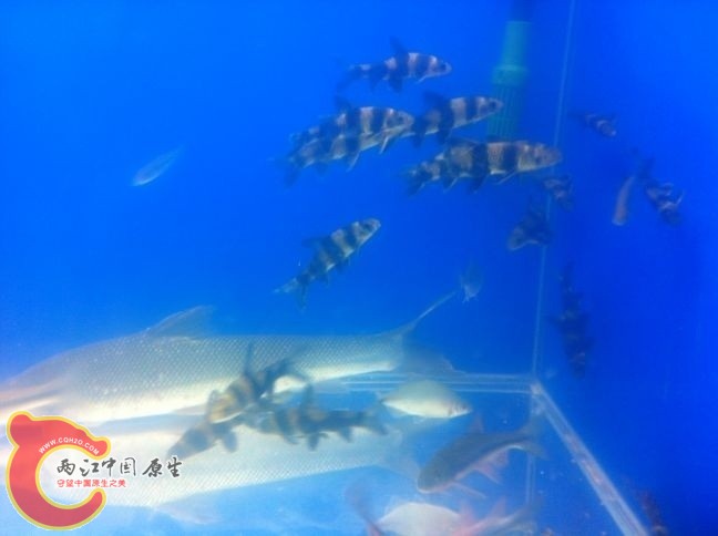 未命名1.jpg