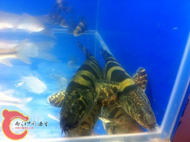 未命名2.jpg
