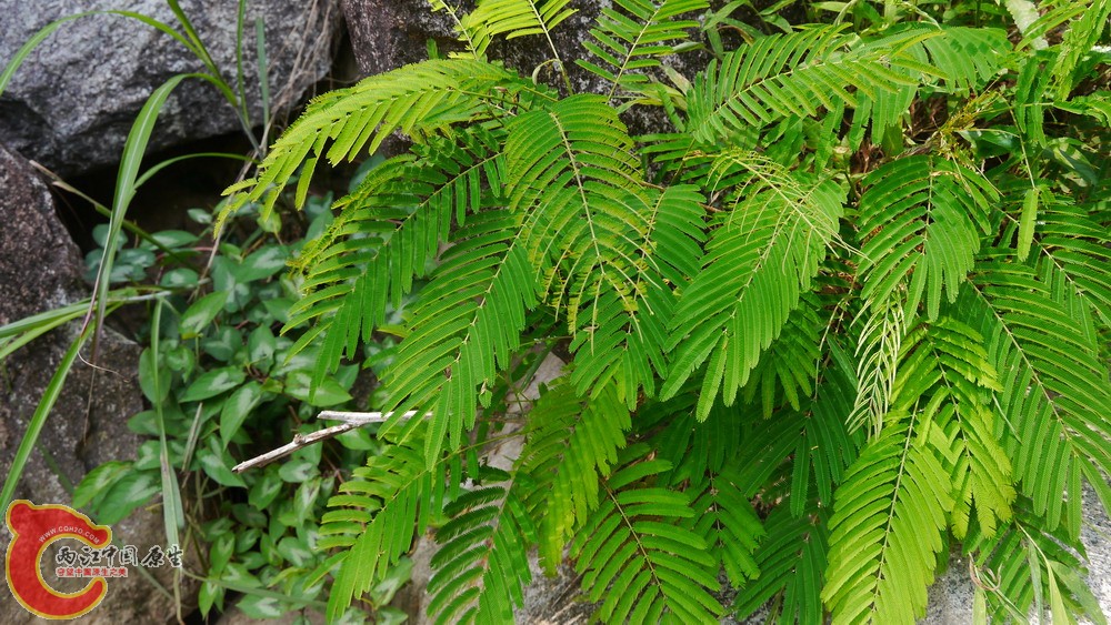 P1010750.jpg
