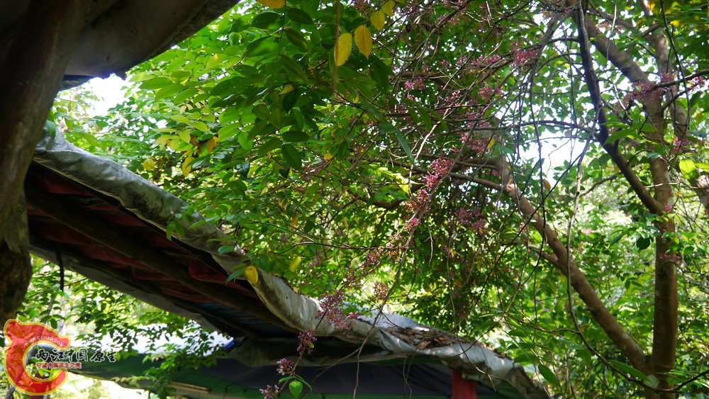 P1010654.jpg
