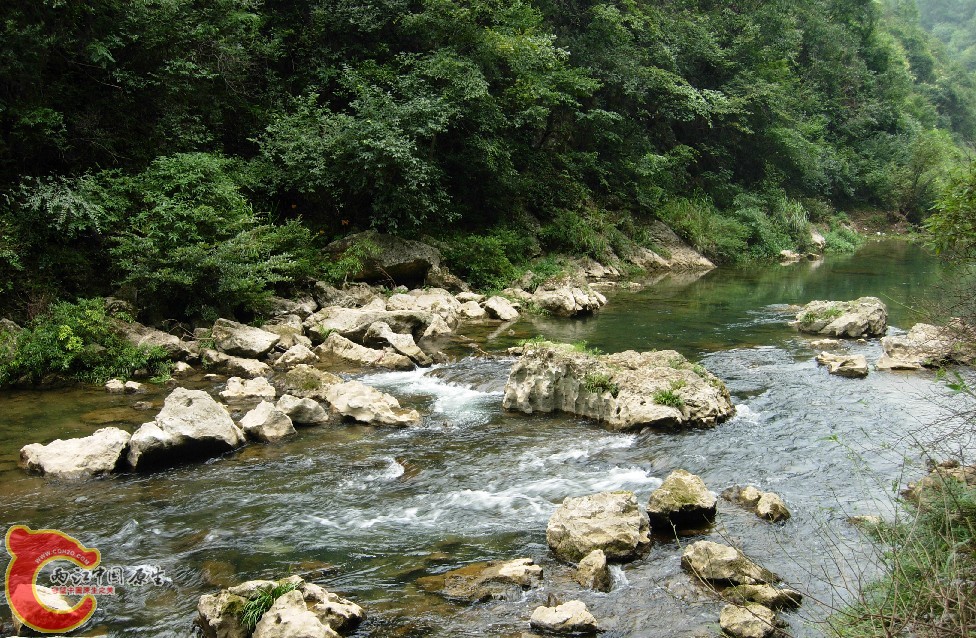 生境3.jpg