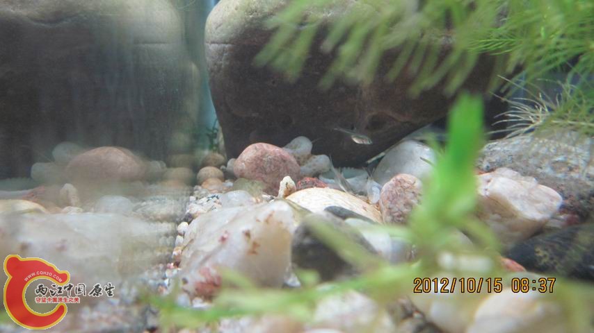 调整大小 22222222.jpg