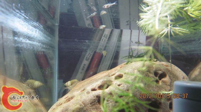 调整大小 侧面.jpg