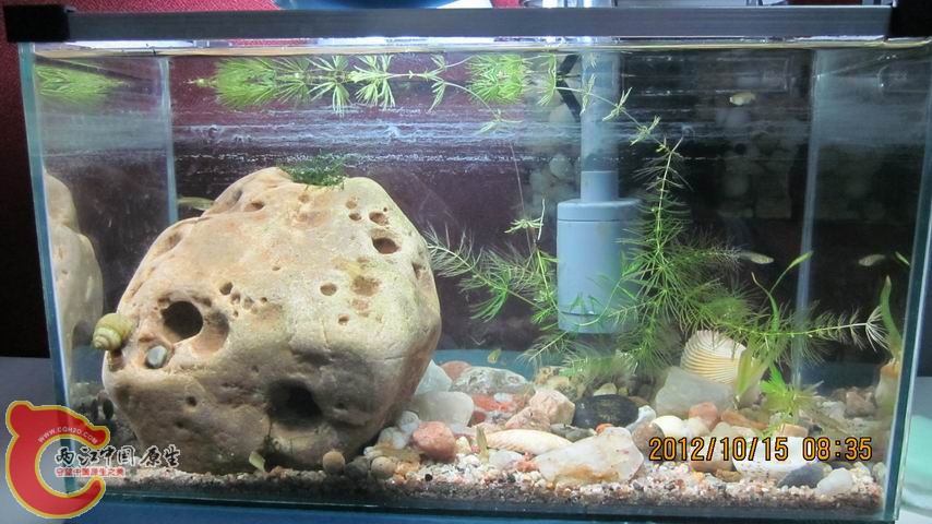 调整大小 就这么大.jpg