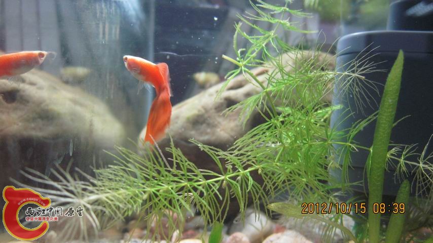 调整大小 亮点.jpg