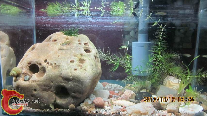 调整大小 全景.jpg