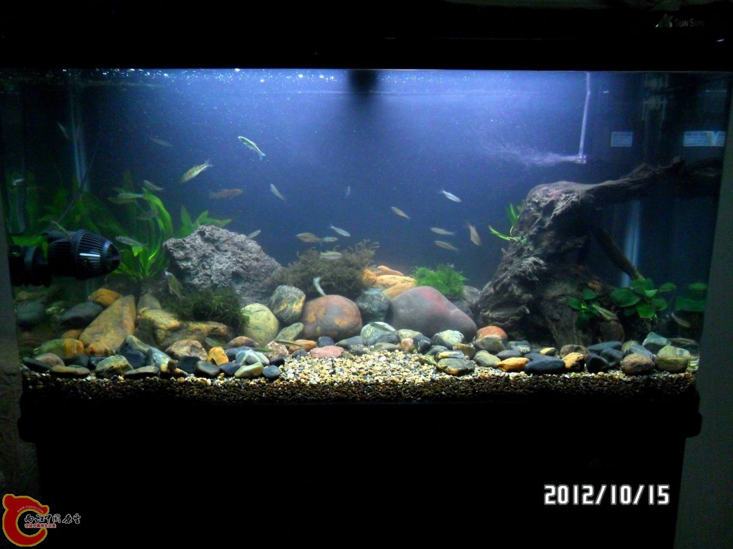 全景