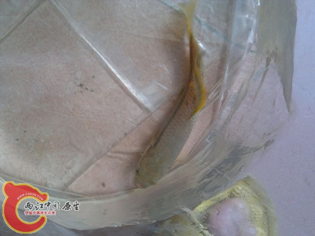 201210122711.jpg