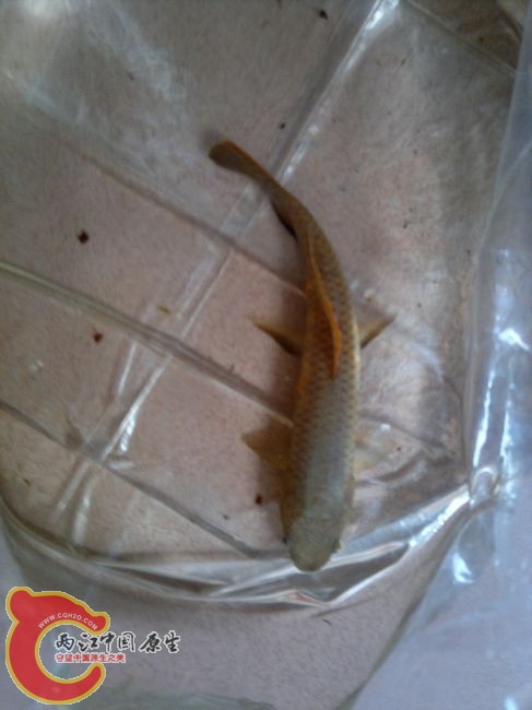 201210122710.jpg