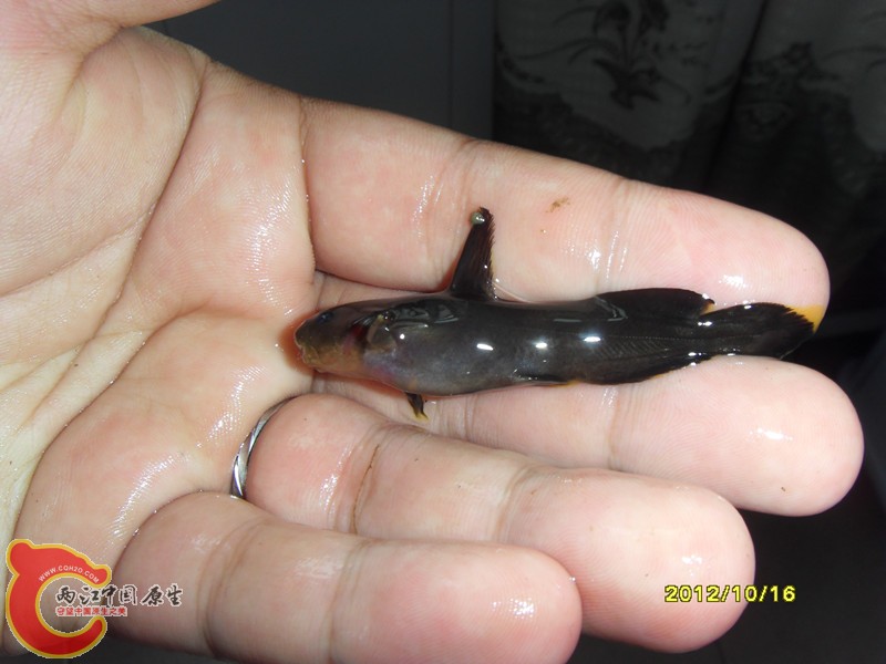 SDC10044_副本2.jpg