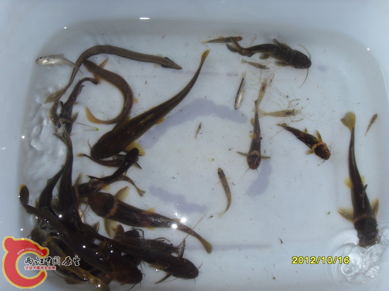 SDC10026_副本.jpg