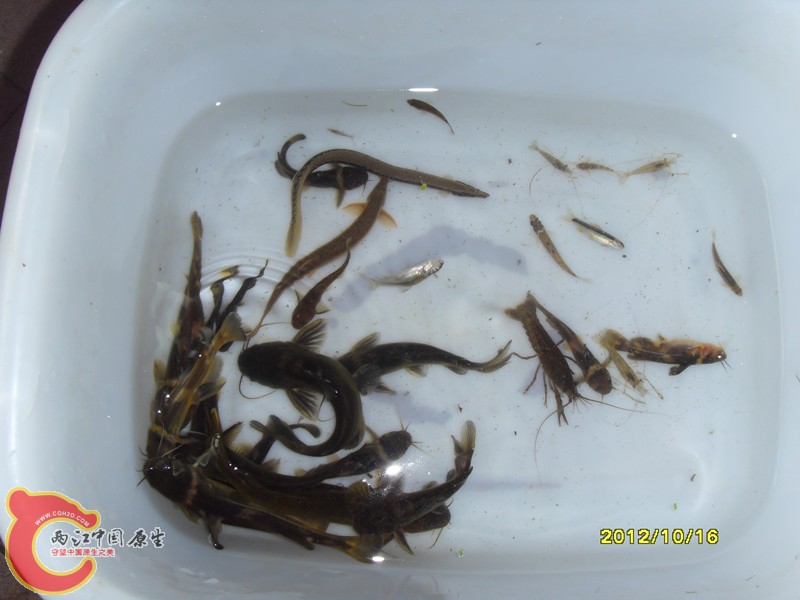 SDC10027_副本.jpg
