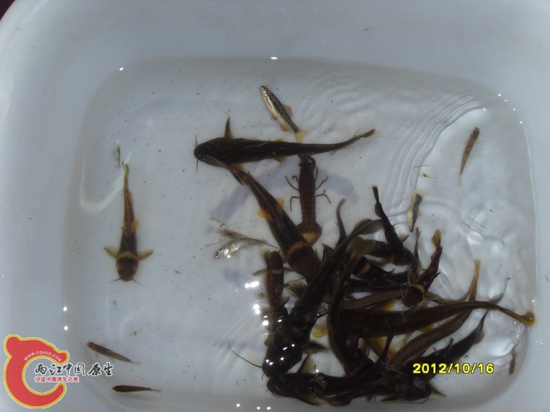 SDC10028_副本.jpg