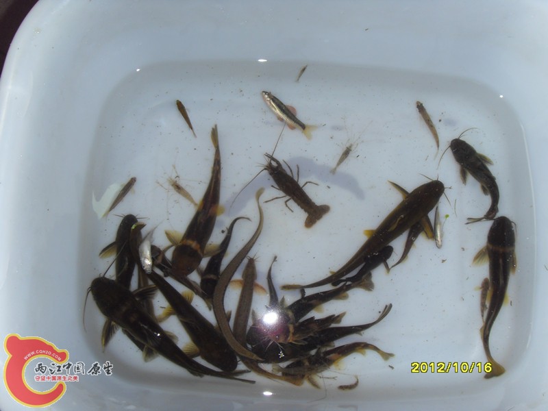 SDC10029_副本.jpg