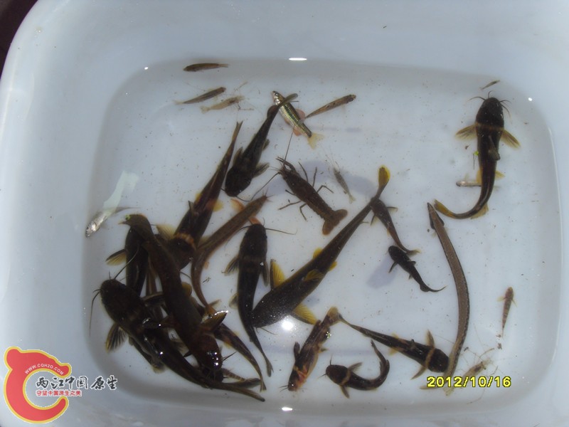 SDC10030_副本.jpg