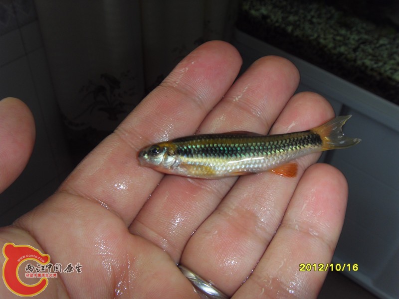 SDC10032_副本.jpg