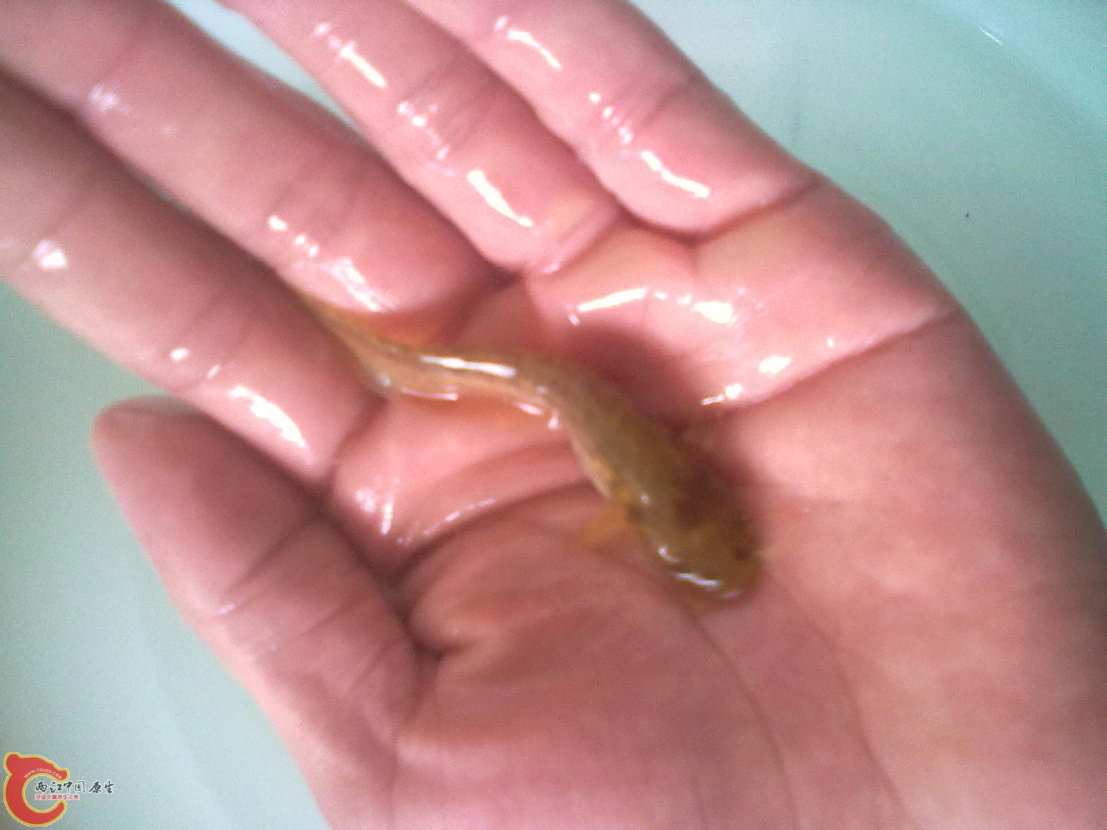 20121016679.jpg