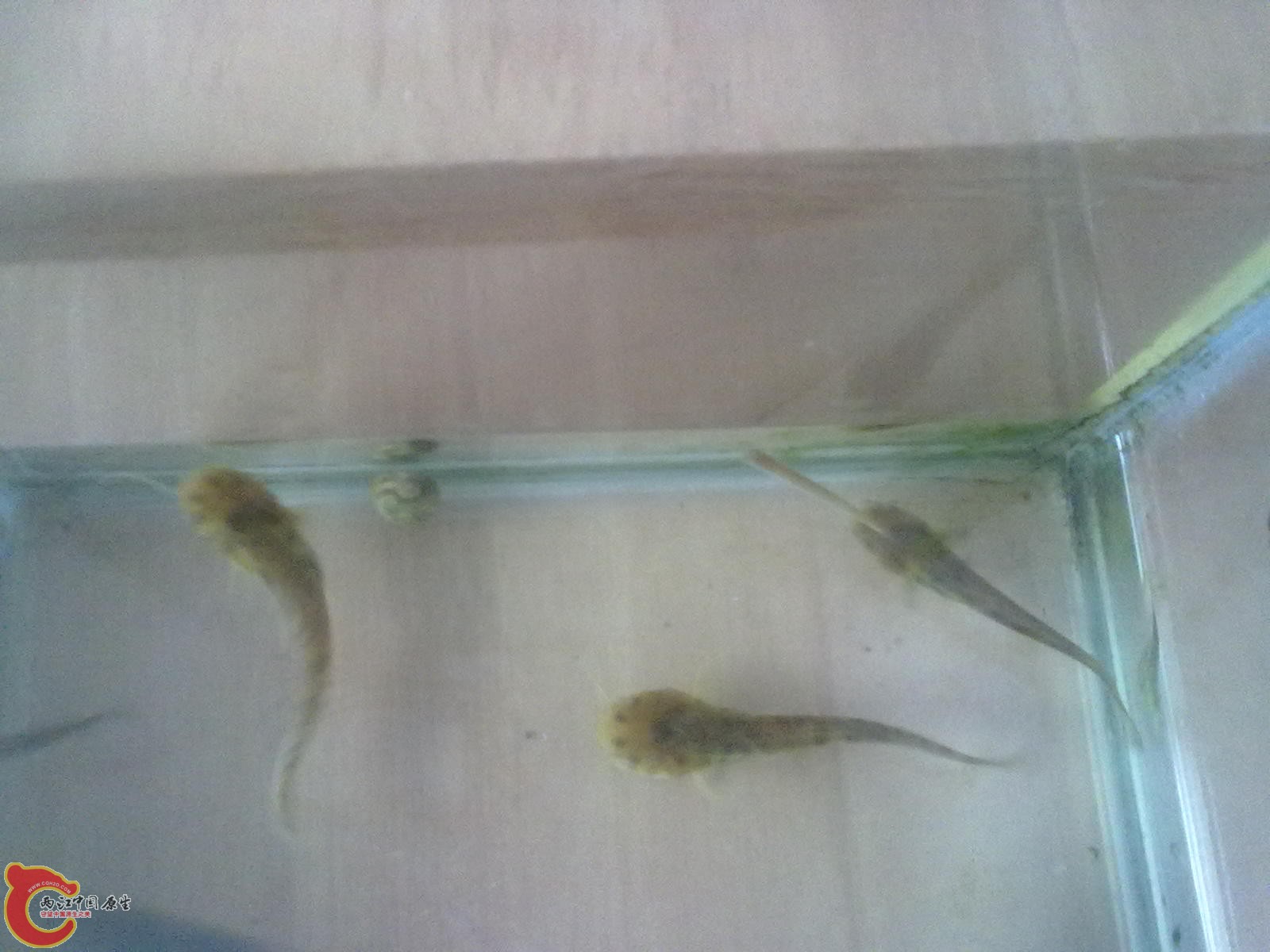 20121016686.jpg