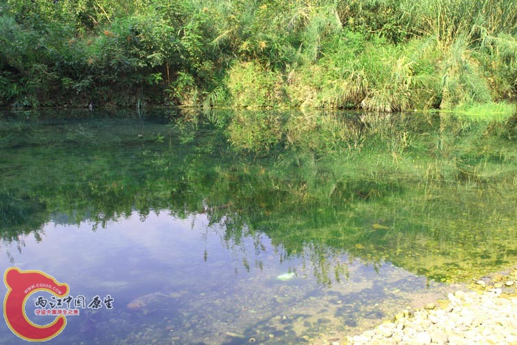 02山溪b.jpg