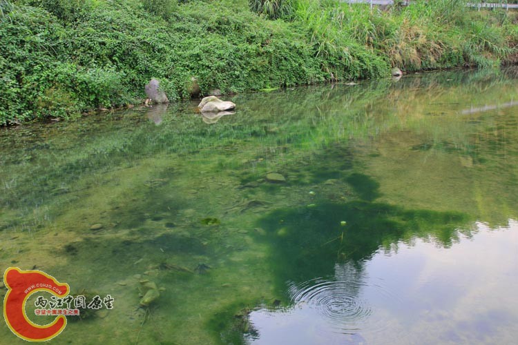 02山溪d.jpg