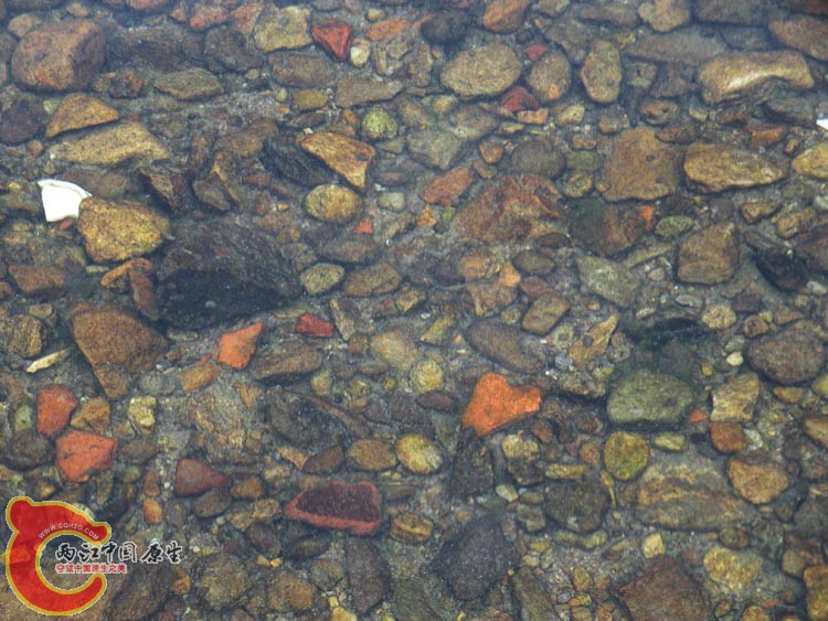 05DSCN1255.JPG