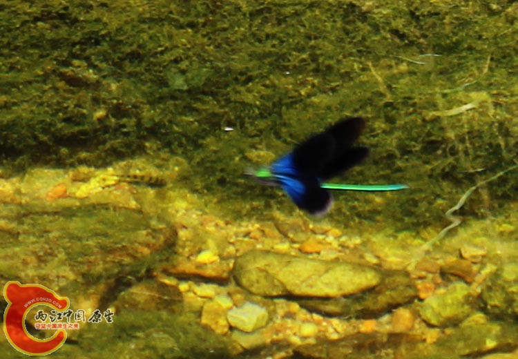 08IMG_1501_.jpg