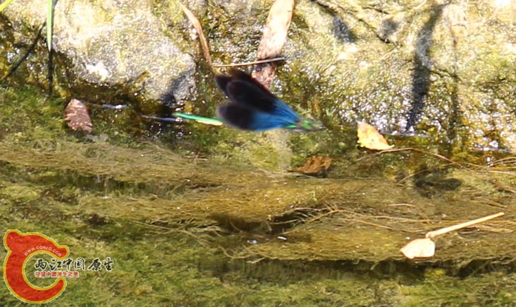 08IMG_1522.JPG