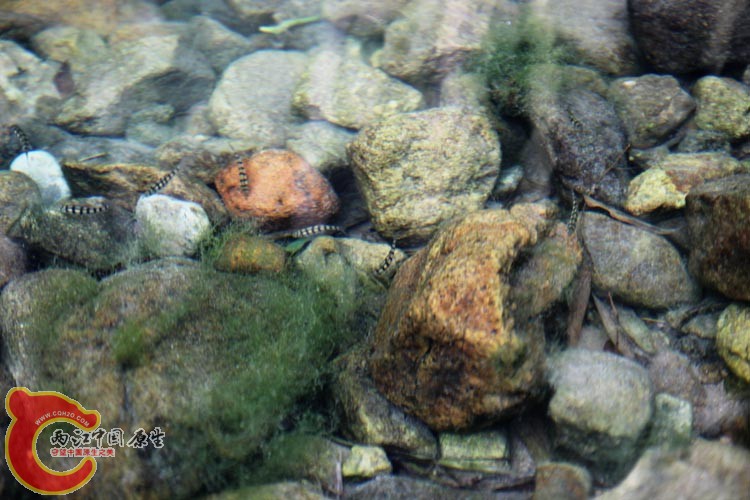 09IMG_1647.JPG