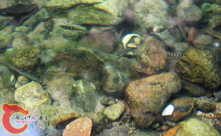 09IMG_1653.JPG