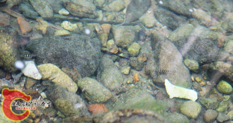 09IMG_1655.JPG