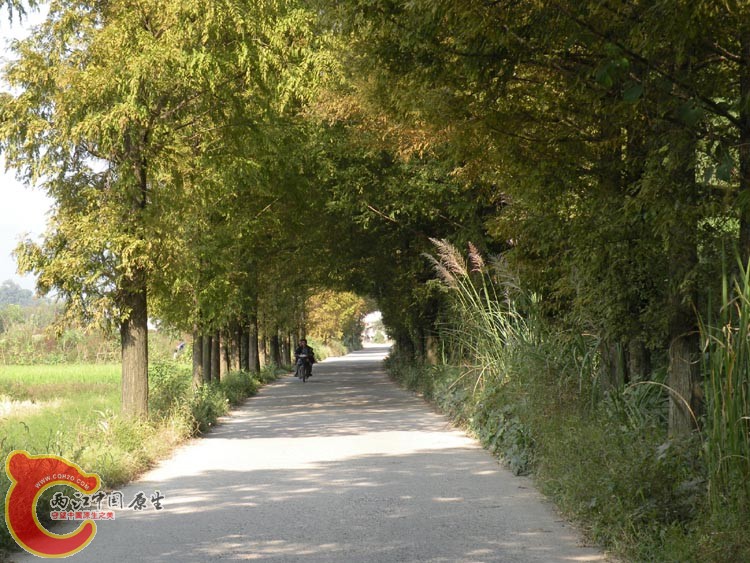 10DSCN2076.JPG