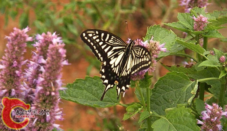 10DSCN2012.JPG