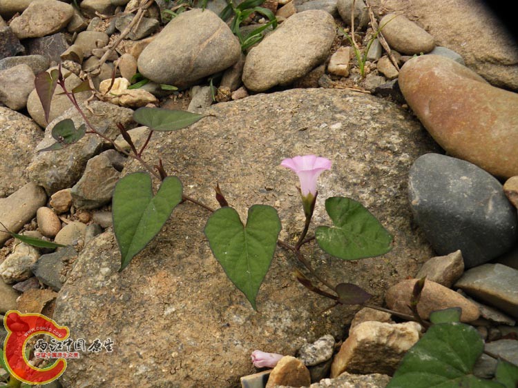 10DSCN2069.JPG
